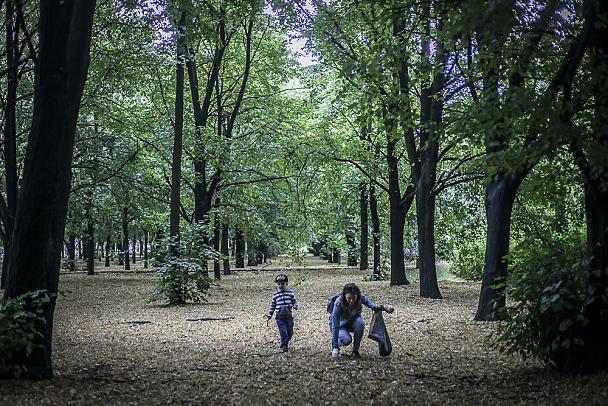 Park. Twój głos uwzględniono!